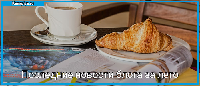 Последние новости блога за лето 1