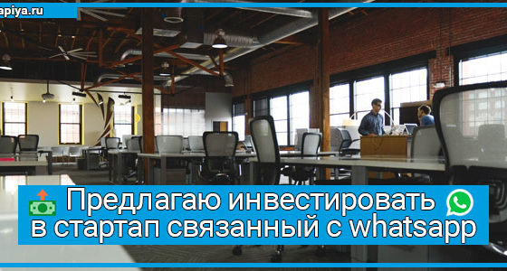 Инвестировать в стартап